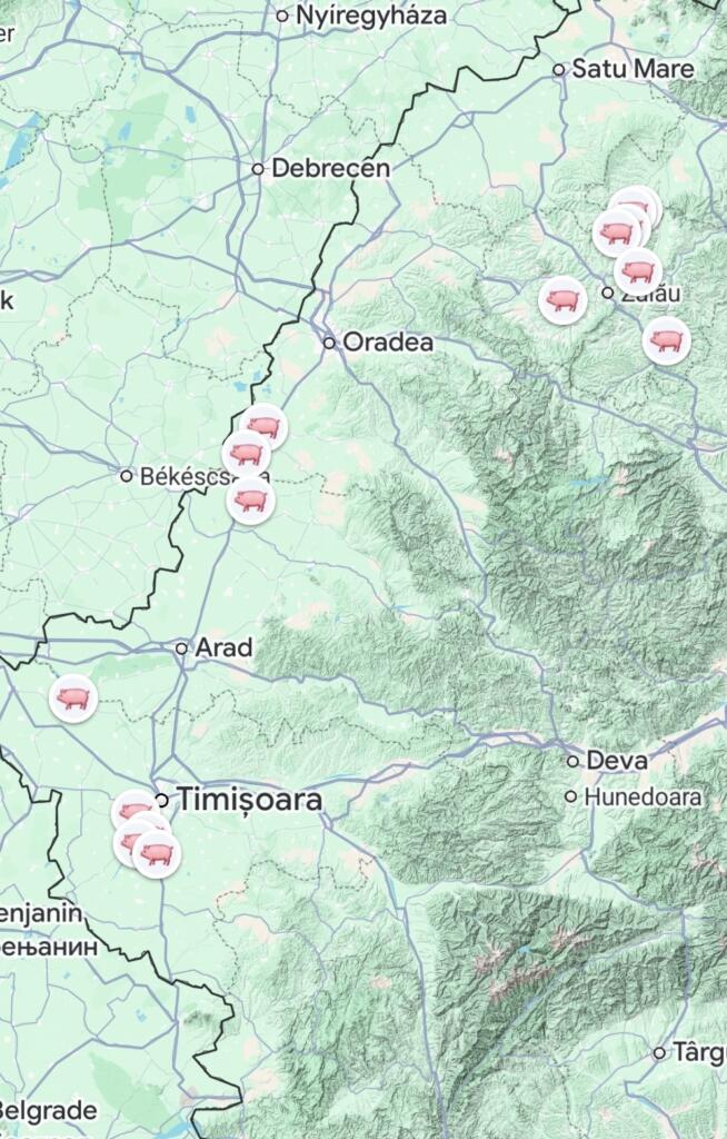 Realitatea paralelă a fermelor de porci: Am descoperit mii de kilometri de ape subterane contaminate și o schemă de optimizare birocratică 11 Screenshot - ferme de porci din vestul României