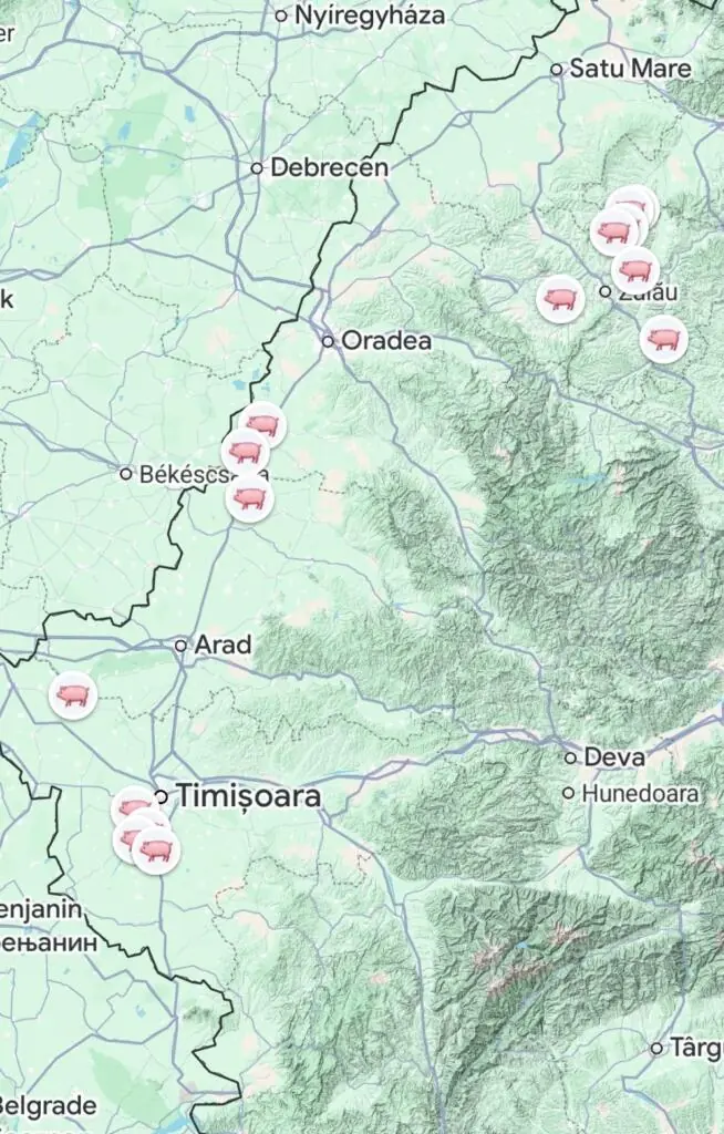 Realitatea paralelă a fermelor de porci: Am descoperit mii de kilometri de ape subterane contaminate și o schemă de optimizare birocratică 11 Screenshot - ferme de porci din vestul României
