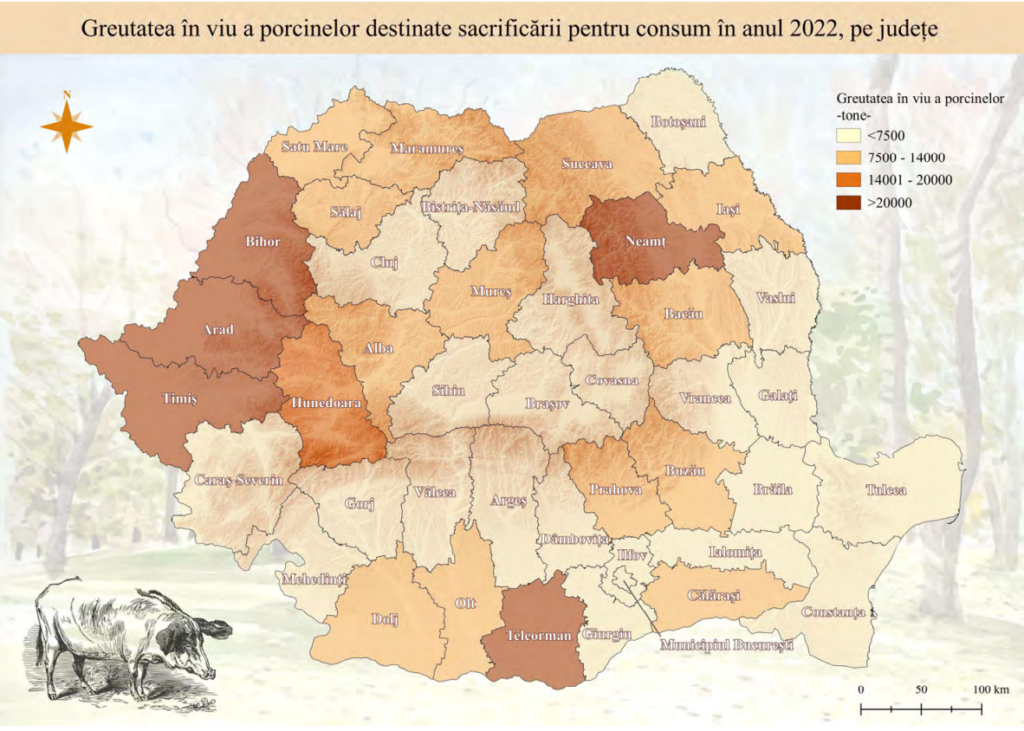Hartă. Carne de porc sacrificată în România