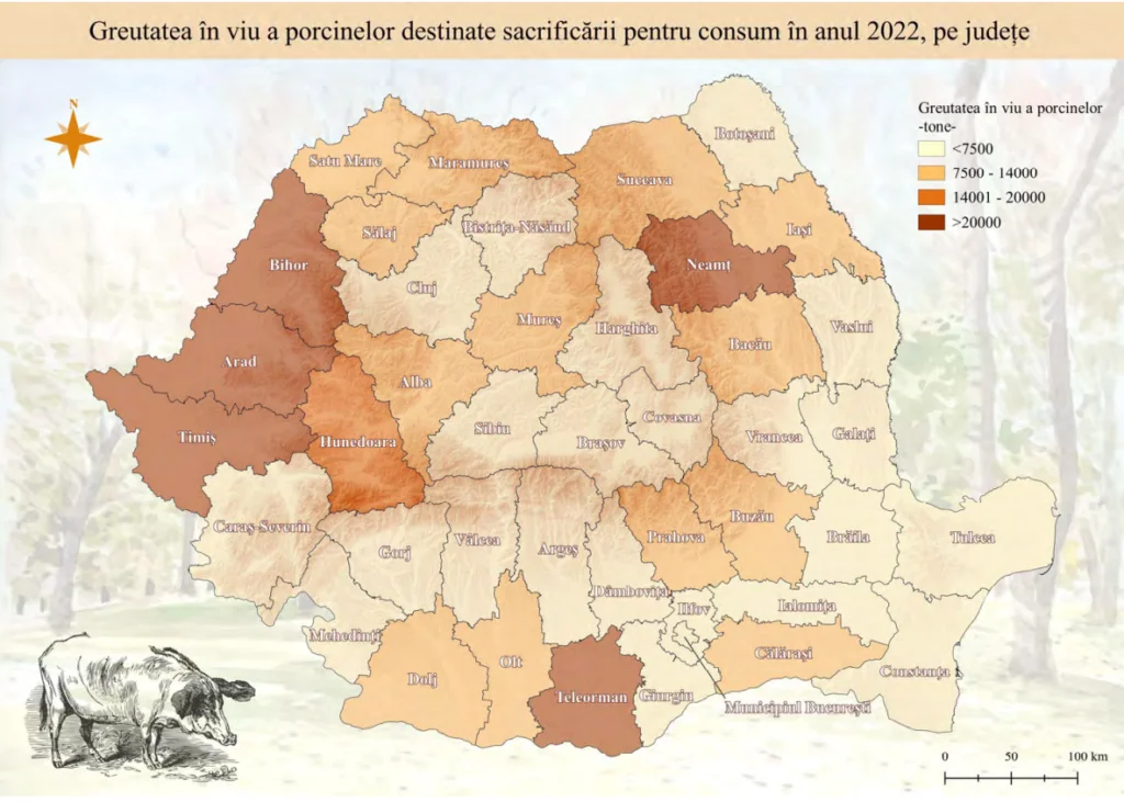 Hartă. Carne de porc sacrificată în România